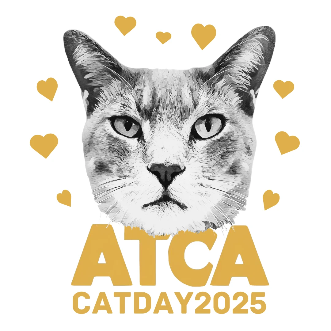 2月22日は猫の日!特別プレゼントのお知らせ 🐱