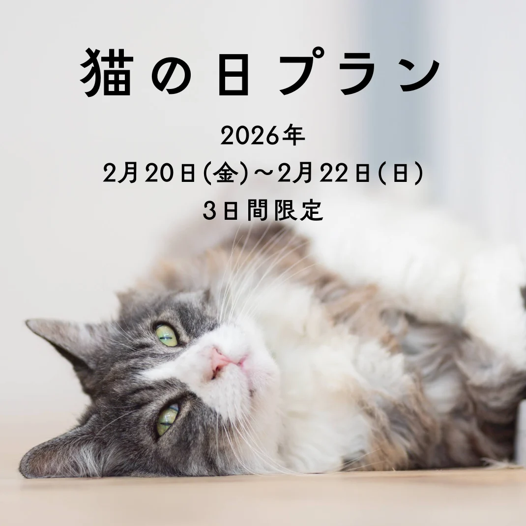 2026年 猫の日限定!「猫の日プラン」